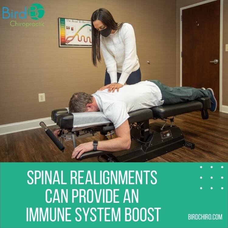 Spinal Alignment Gives an Immune System Boost