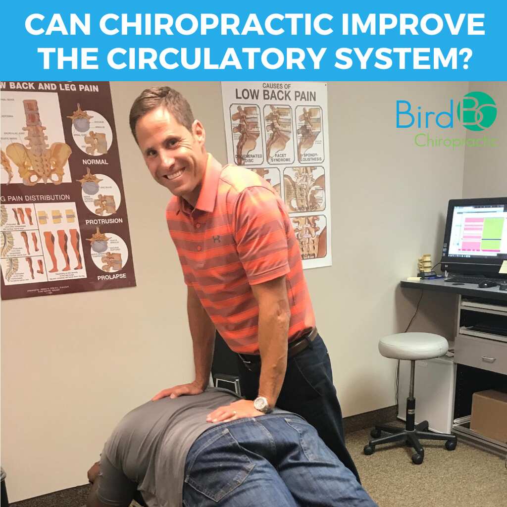 Can Chiropractic Improve the Circulatory System?