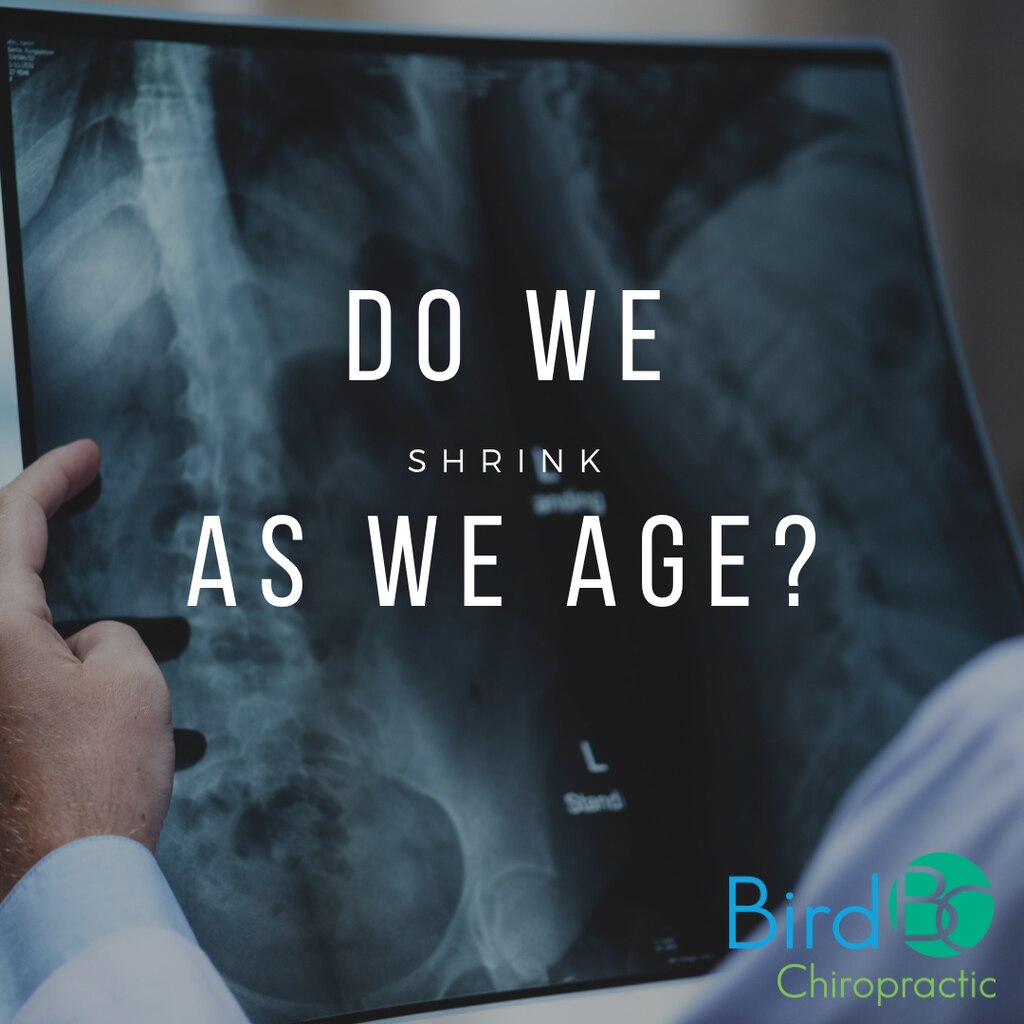 Do We Shrink As We Age?
