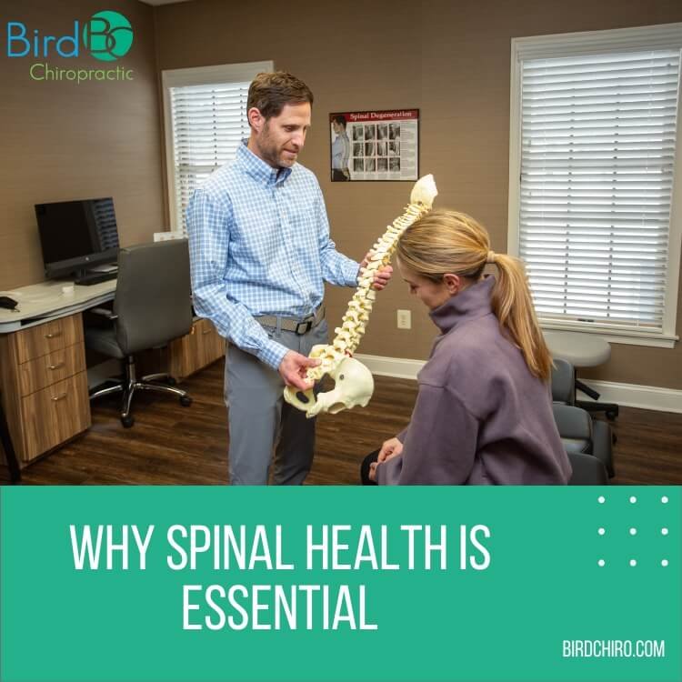 Why Spinal Health Is Essential