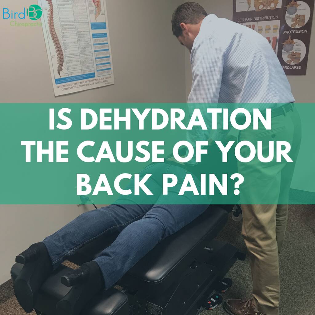 Is Dehydration the Cause of your Back Pain?